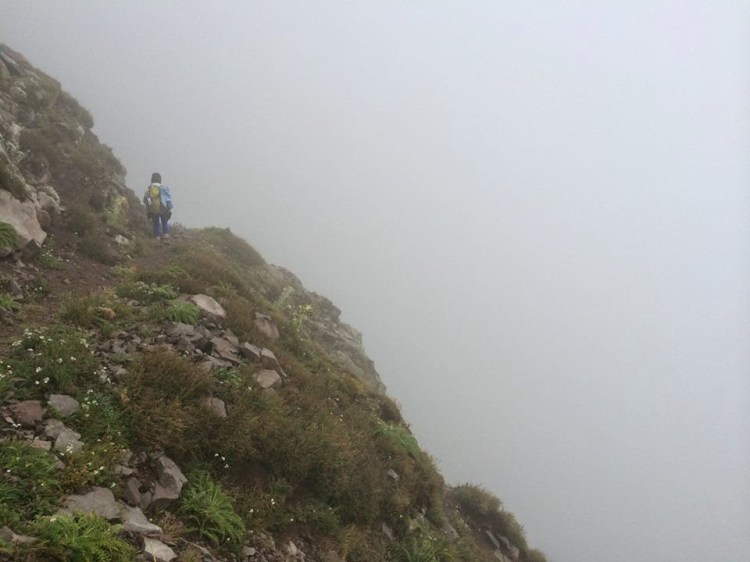 15248_10100877842408976_3321507881834494334_n