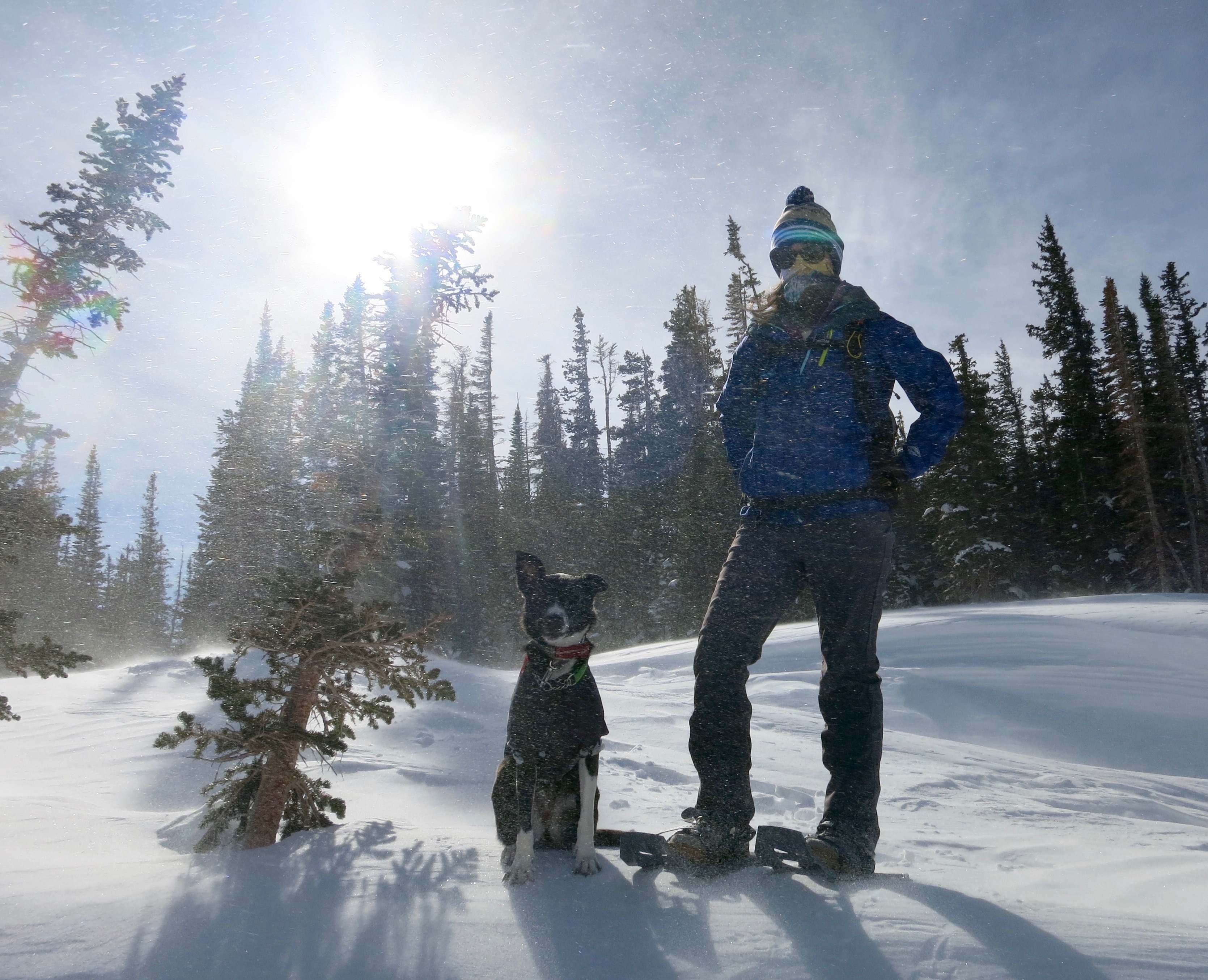 D1B29149-B206-44F7-84DB-1E93807E121E