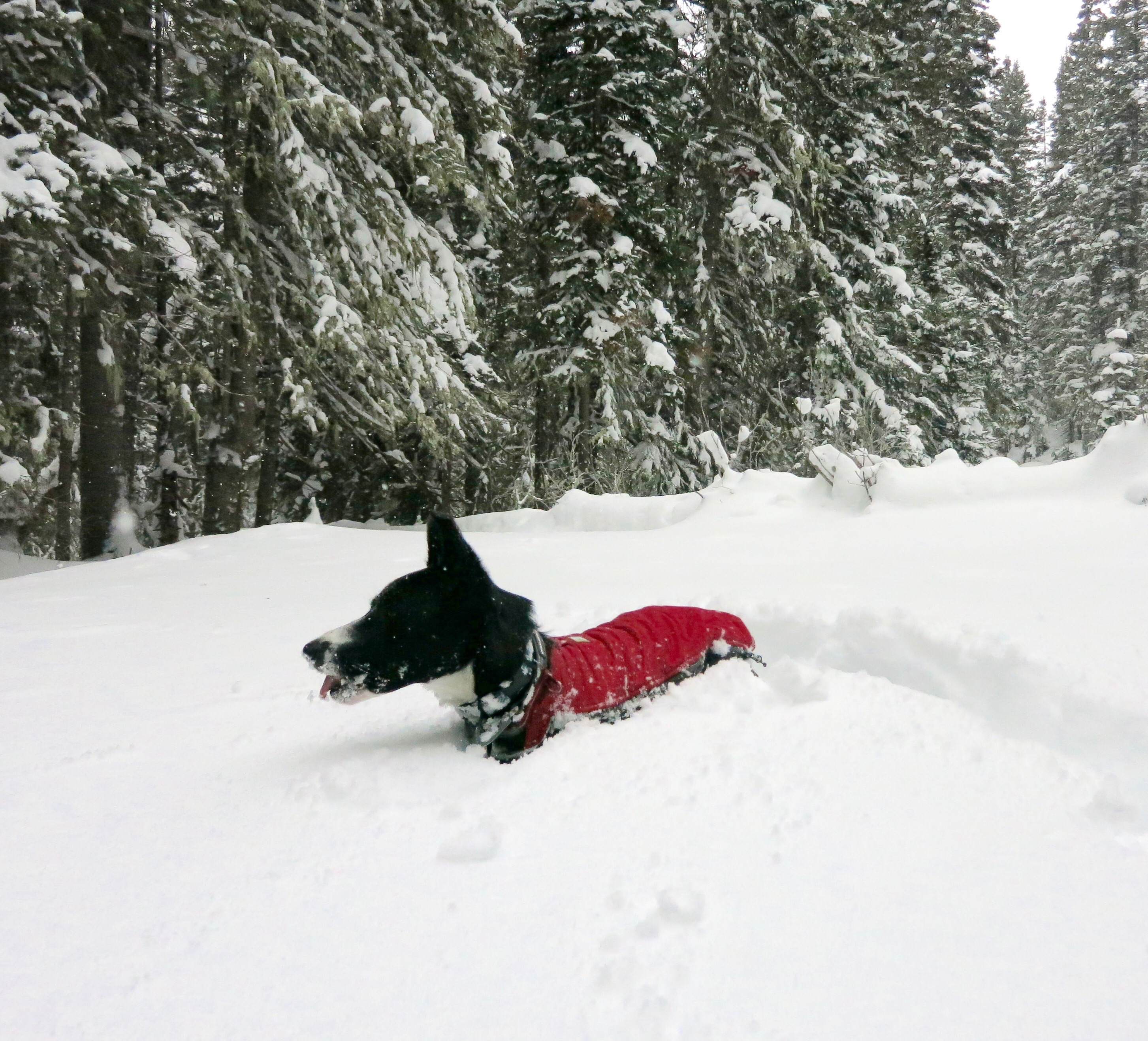 F49A1FFD-8746-457E-AF36-C96E94F4AB74